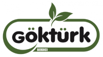 Göktürk logo