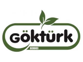 Göktürk logo